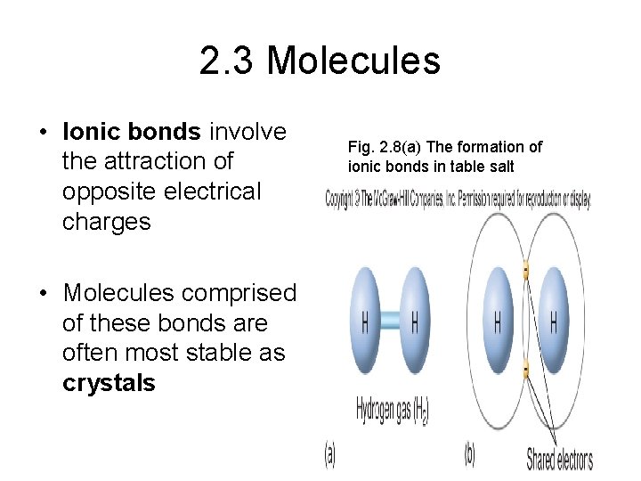 2. 3 Molecules • Ionic bonds involve the attraction of opposite electrical charges •