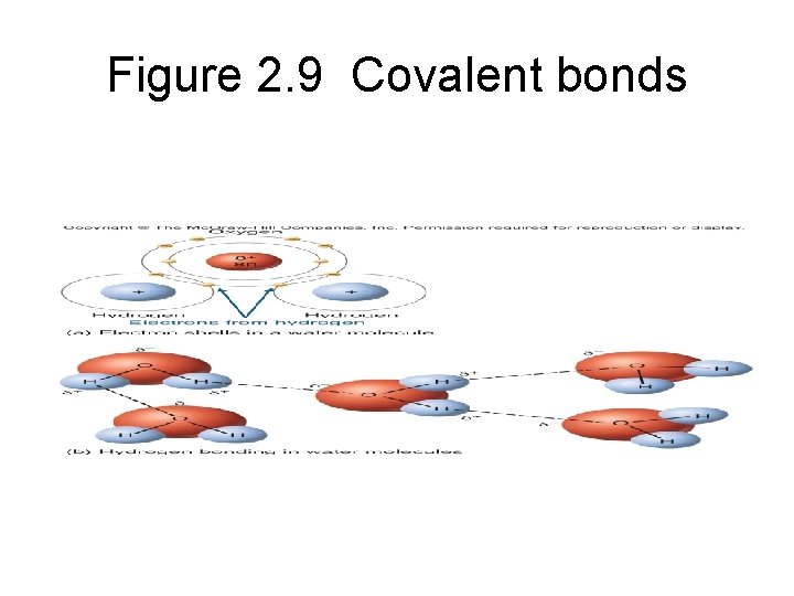 Figure 2. 9 Covalent bonds 