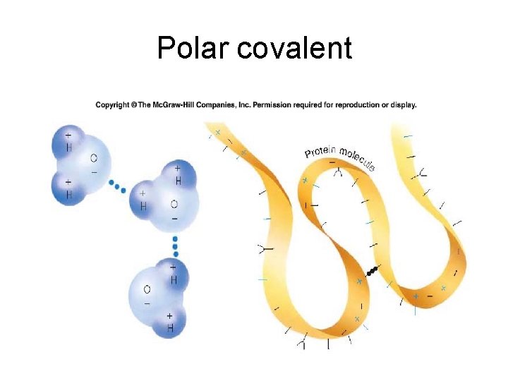 Polar covalent 