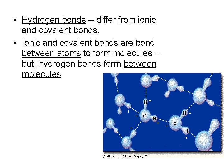  • Hydrogen bonds -- differ from ionic and covalent bonds. • Ionic and