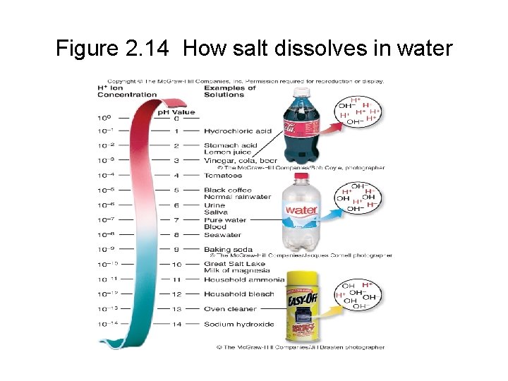 Figure 2. 14 How salt dissolves in water 