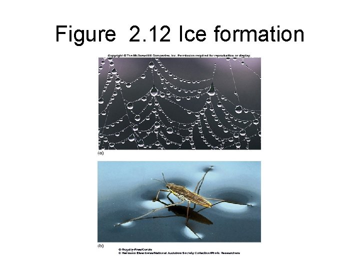 Figure 2. 12 Ice formation 