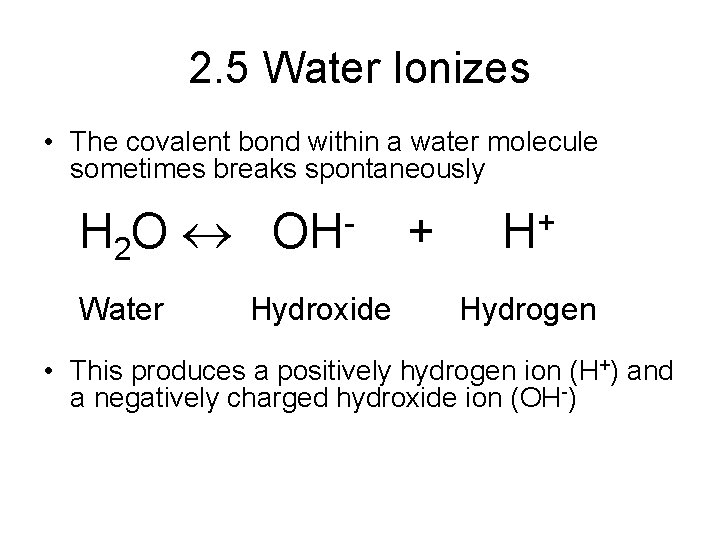 2. 5 Water Ionizes • The covalent bond within a water molecule sometimes breaks