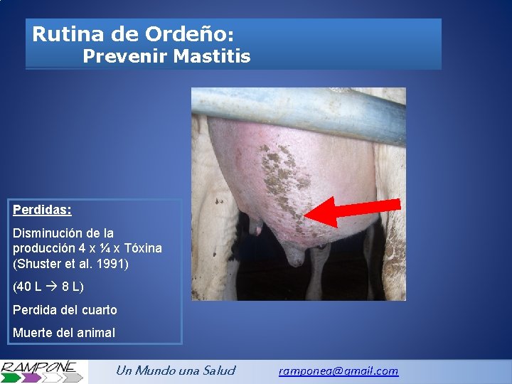 Rutina de Ordeño: Prevenir Mastitis Perdidas: Disminución de la producción 4 x ¼ x