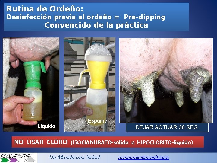 Rutina de Ordeño: Desinfección previa al ordeño = Pre-dipping Convencido de la práctica Liquido