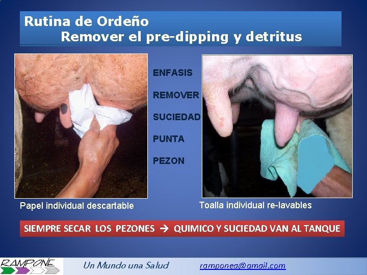 Rutina de Ordeño Remover el pre-dipping y detritus ENFASIS REMOVER SUCIEDAD PUNTA PEZON Papel