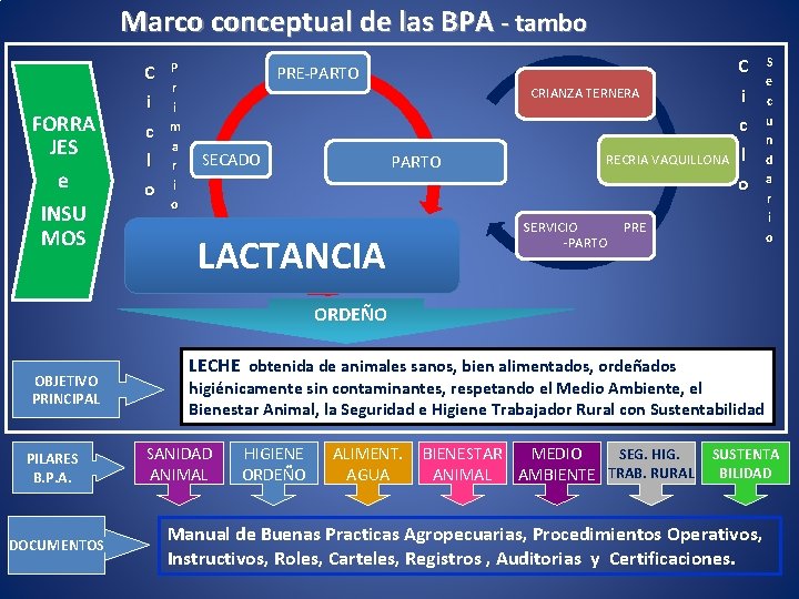 Marco conceptual de las BPA - tambo FORRA JES e INSU MOS C i