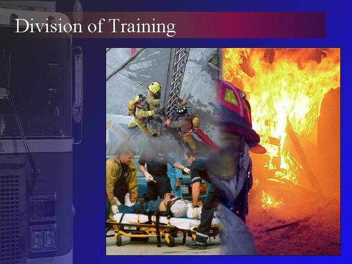 Division of Training 