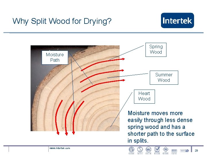 Why Split Wood for Drying? Moisture Path Spring Wood Summer Wood Heart Wood Moisture