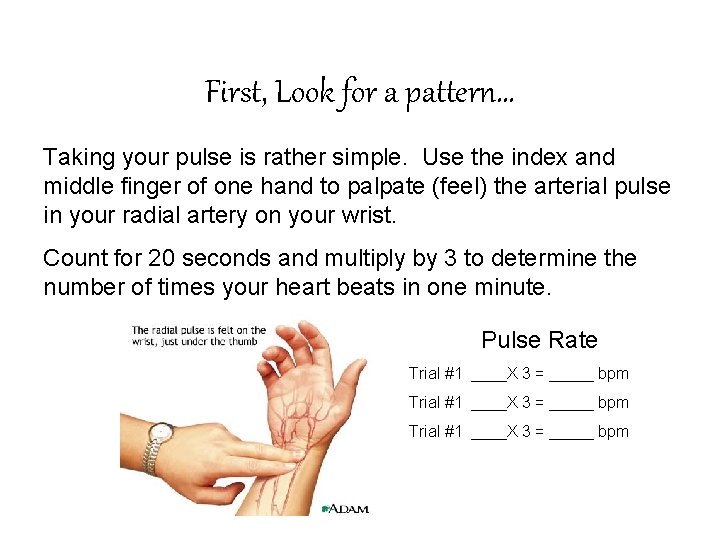 First, Look for a pattern… Taking your pulse is rather simple. Use the index