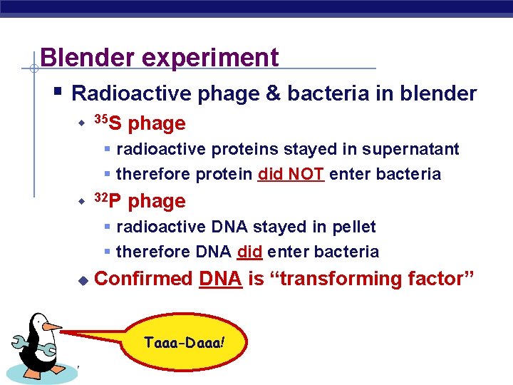 Blender experiment § Radioactive phage & bacteria in blender u 35 S phage §