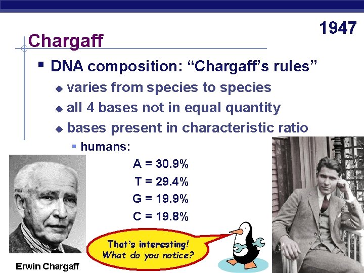 Chargaff § DNA composition: “Chargaff’s rules” varies from species to species u all 4
