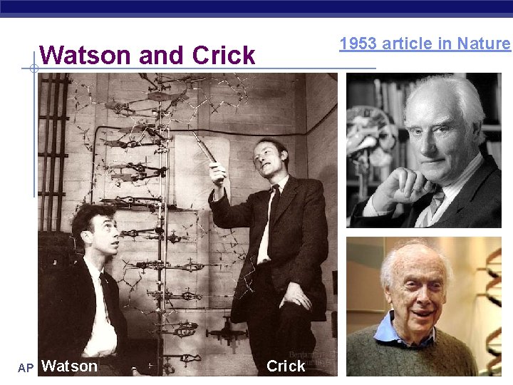 1953 article in Nature Watson and Crick Watson AP Biology Crick 