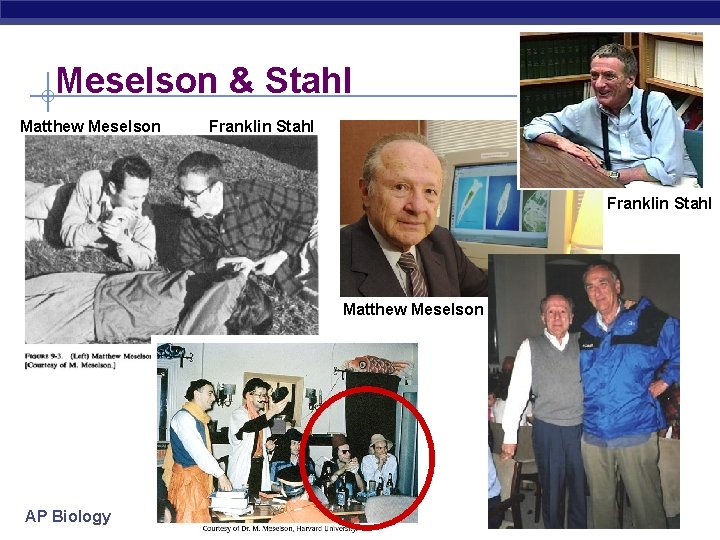 Meselson & Stahl Matthew Meselson Franklin Stahl Matthew Meselson AP Biology 