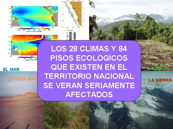 EL MAR LA COSTA SUR LA COSTA MUSSO - ABUGATTAS LOS 28 CLIMAS Y
