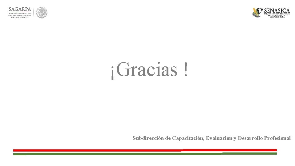 ¡Gracias ! Subdirección de Capacitación, Evaluación y Desarrollo Profesional 
