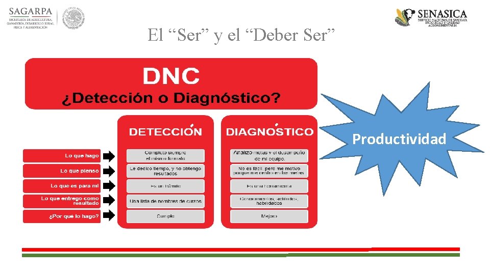 El “Ser” y el “Deber Ser” Productividad 