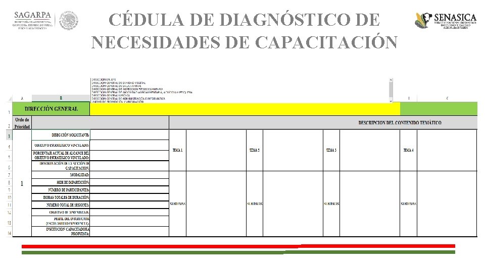 CÉDULA DE DIAGNÓSTICO DE NECESIDADES DE CAPACITACIÓN 