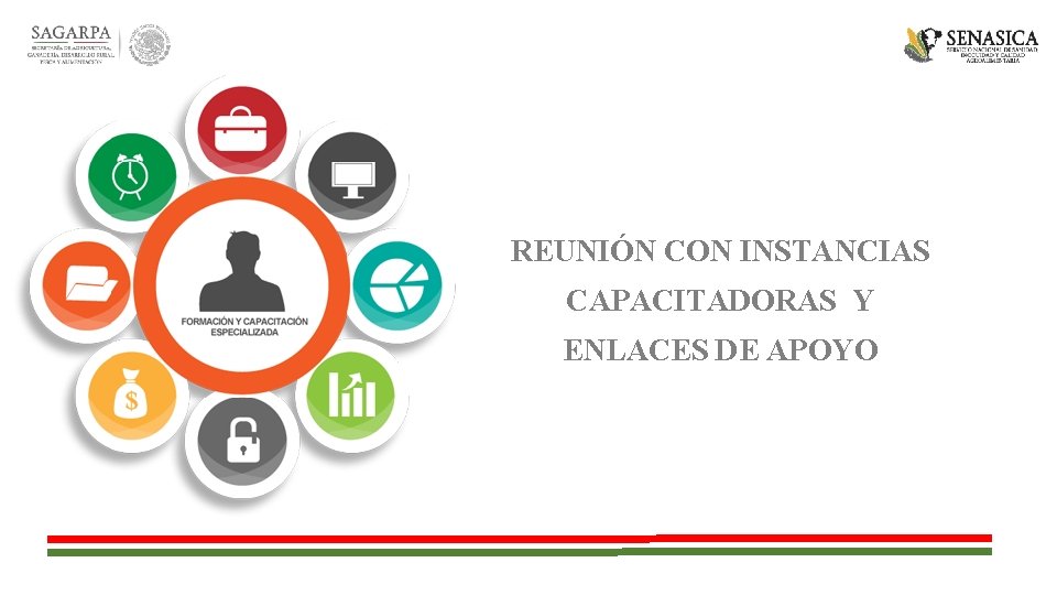 REUNIÓN CON INSTANCIAS CAPACITADORAS Y ENLACES DE APOYO 