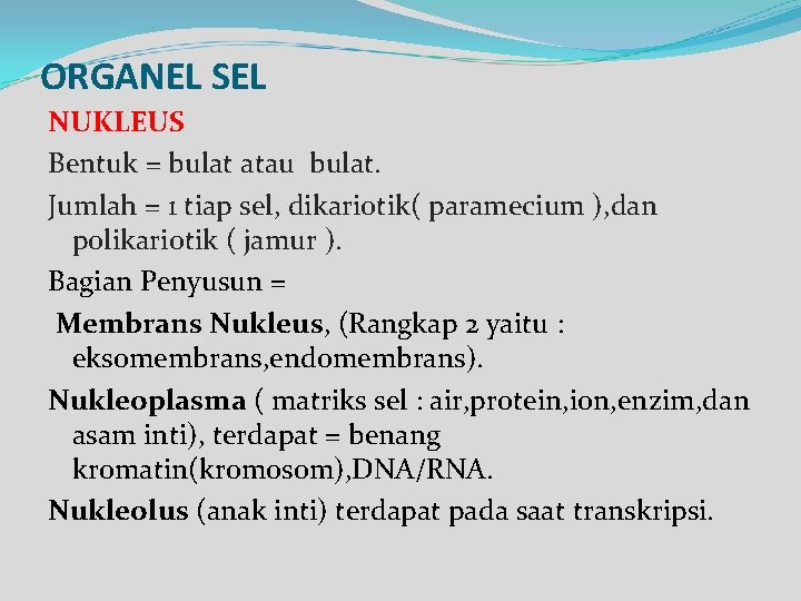 ORGANEL SEL NUKLEUS Bentuk = bulat atau bulat. Jumlah = 1 tiap sel, dikariotik(