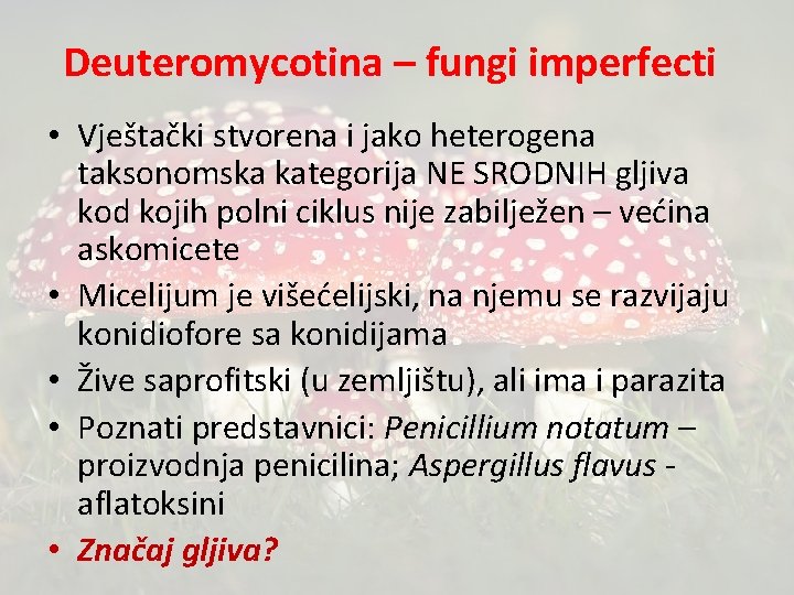 Deuteromycotina – fungi imperfecti • Vještački stvorena i jako heterogena taksonomska kategorija NE SRODNIH