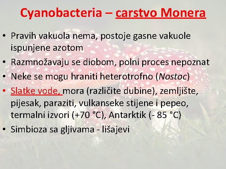 Cyanobacteria – carstvo Monera • Pravih vakuola nema, postoje gasne vakuole ispunjene azotom •