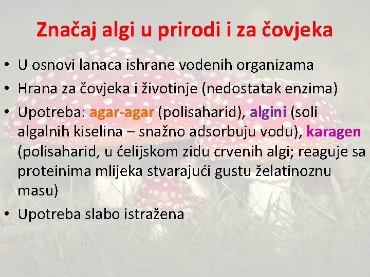 Značaj algi u prirodi i za čovjeka • U osnovi lanaca ishrane vodenih organizama