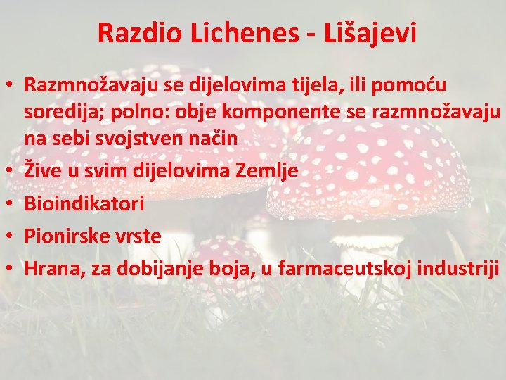 Razdio Lichenes - Lišajevi • Razmnožavaju se dijelovima tijela, ili pomoću soredija; polno: obje