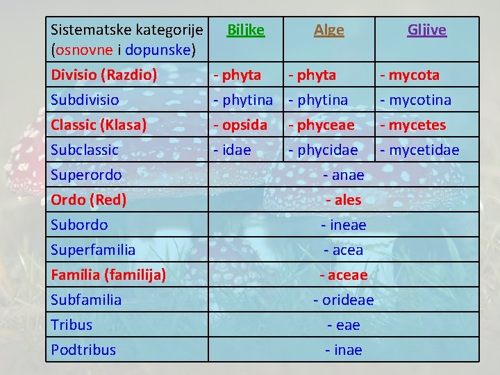 Sistematske kategorije Biljke Alge (osnovne i dopunske) Divisio (Razdio) - phyta Subdivisio - phytina