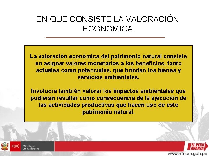 EN QUE CONSISTE LA VALORACIÓN ECONOMICA La valoración económica del patrimonio natural consiste en