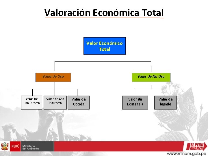 Valoración Económica Total Valor Económico Total Valor de Uso Directo Valor de Uso Indirecto