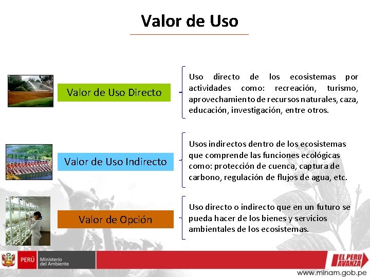 Valor de Uso Directo Uso directo de los ecosistemas por actividades como: recreación, turismo,