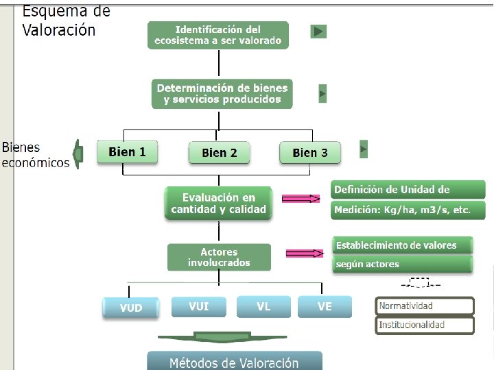 ESTIMACIONES DAÑO AMBIENTAL 