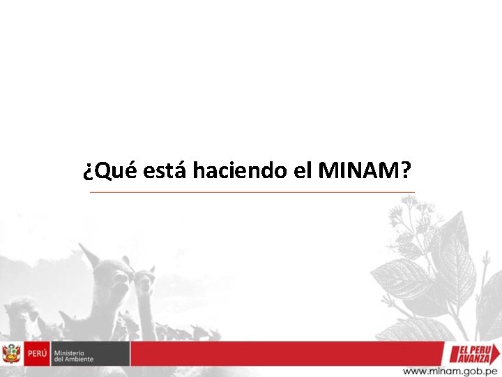 ¿Qué está haciendo el MINAM? 