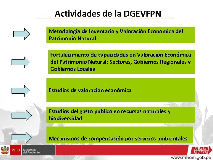 Actividades de la DGEVFPN Metodología de Inventario y Valoración Económica del Patrimonio Natural Fortalecimiento