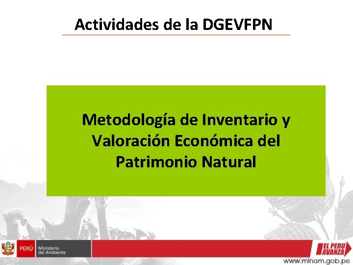 Actividades de la DGEVFPN Metodología de Inventario y Valoración Económica del Patrimonio Natural 