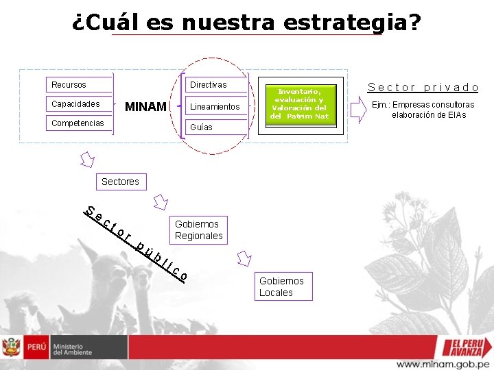 ¿Cuál es nuestrategia? Recursos Directivas Capacidades MINAM Lineamientos Competencias Inventario, evaluación y Valoración del