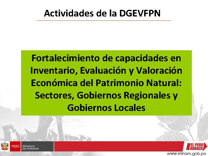Actividades de la DGEVFPN Fortalecimiento de capacidades en Inventario, Evaluación y Valoración Económica del