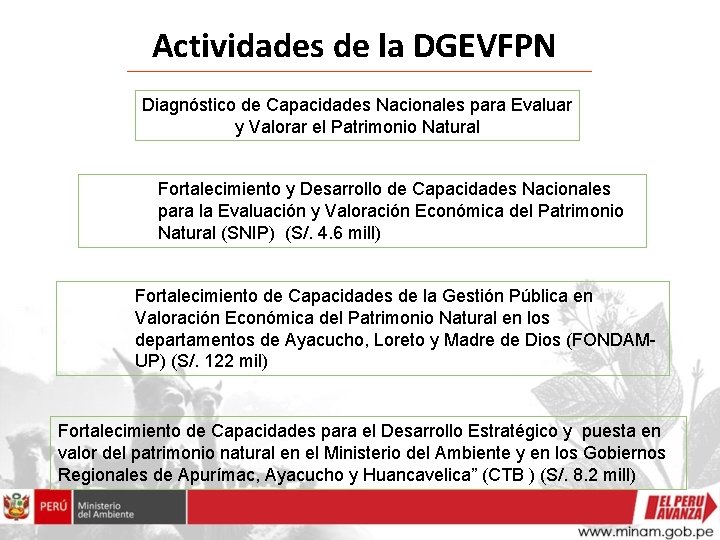 Actividades de la DGEVFPN Diagnóstico de Capacidades Nacionales para Evaluar y Valorar el Patrimonio