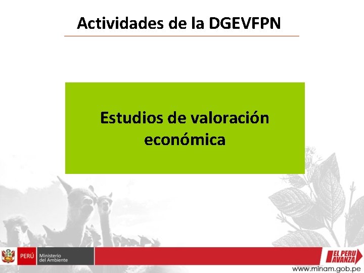 Actividades de la DGEVFPN Estudios de valoración económica 