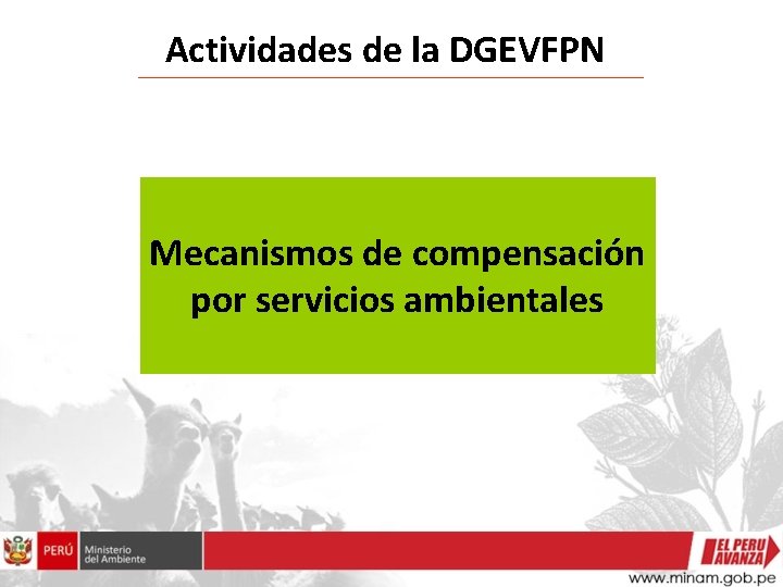 Actividades de la DGEVFPN Mecanismos de compensación por servicios ambientales 
