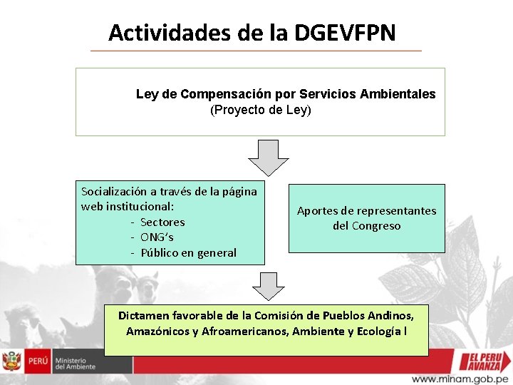 Actividades de la DGEVFPN Ley de Compensación por Servicios Ambientales (Proyecto de Ley) Socialización