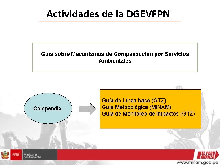 Actividades de la DGEVFPN Guía sobre Mecanismos de Compensación por Servicios Ambientales Compendio Guía