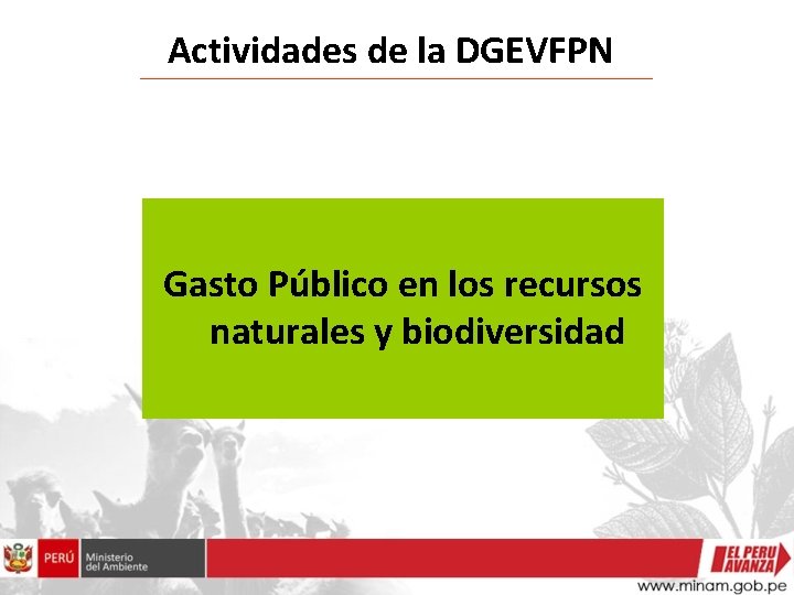 Actividades de la DGEVFPN Gasto Público en los recursos naturales y biodiversidad 