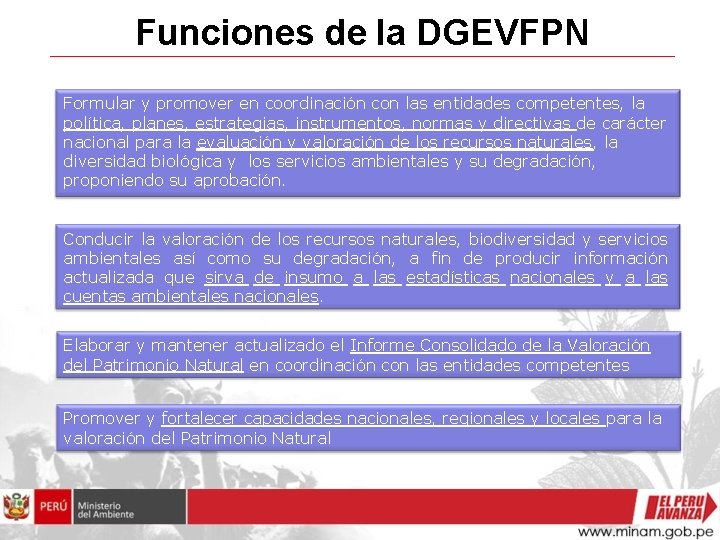 Funciones de la DGEVFPN Formular y promover en coordinación con las entidades competentes, la