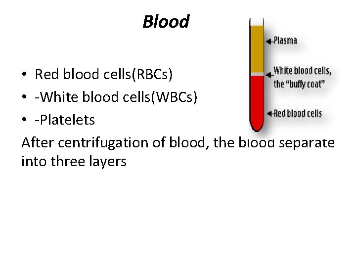 Blood • Red blood cells(RBCs) • -White blood cells(WBCs) • -Platelets After centrifugation of