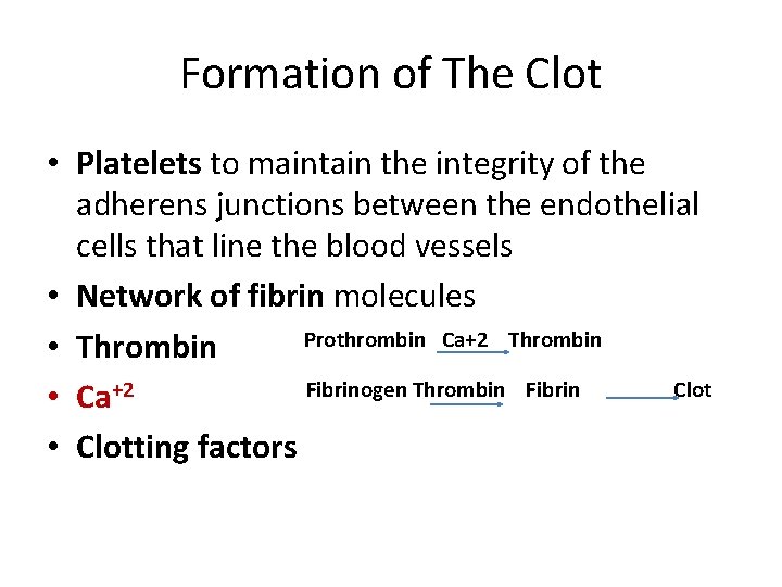Formation of The Clot • Platelets to maintain the integrity of the adherens junctions