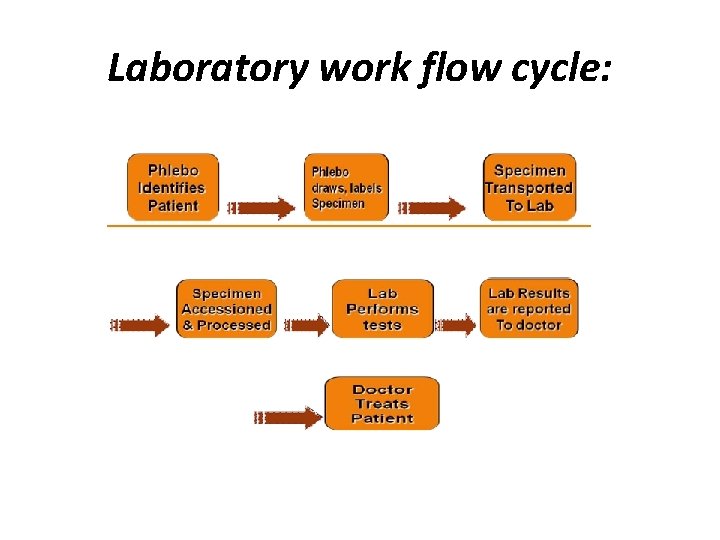 Laboratory work flow cycle: 
