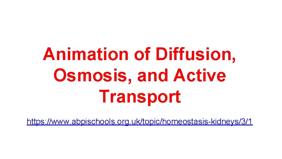 Animation of Diffusion, Osmosis, and Active Transport https: //www. abpischools. org. uk/topic/homeostasis-kidneys/3/1 