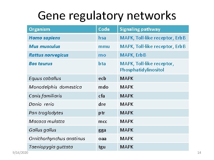 Gene regulatory networks 9/16/2020 Organism Code Signaling pathway Homo sapiens hsa MAPK, Toll-like receptor,